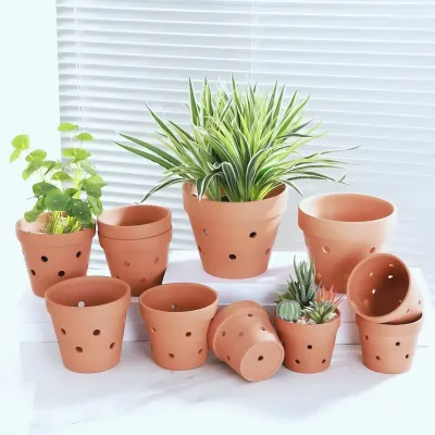 Pots Rhea, vue 3
