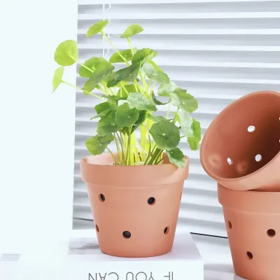 Pots Rhea, vue 2